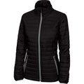 Charles River Charles River Women's Black/Grey Lithium Quilted